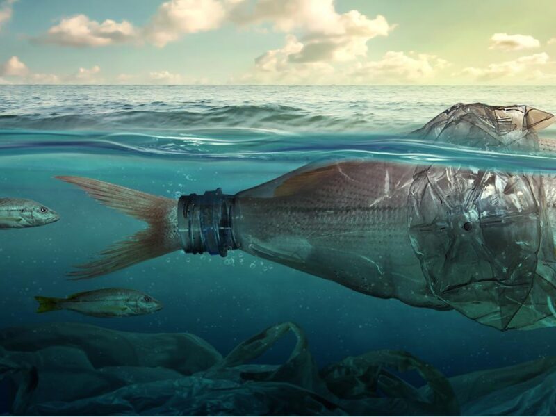 Go4sea - Save the sea