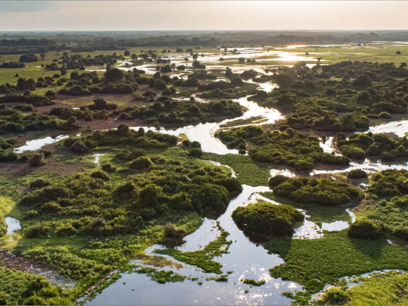 Go4sea Brasile Centro Ovest