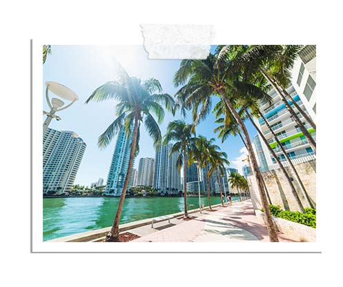 Go4sea - Viaggio a Capodanno - Miami