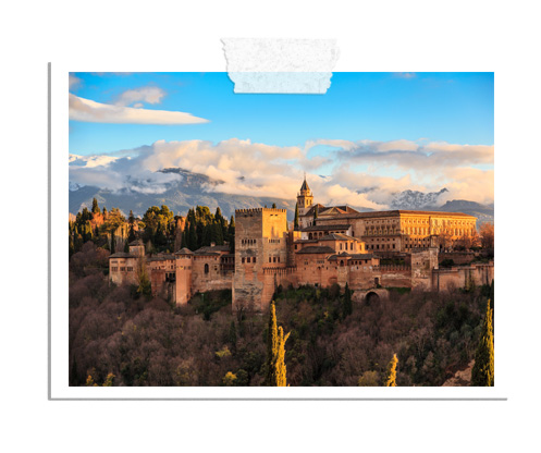 Go4sea - Tour esclusivi guidati durante le festività natalizie 