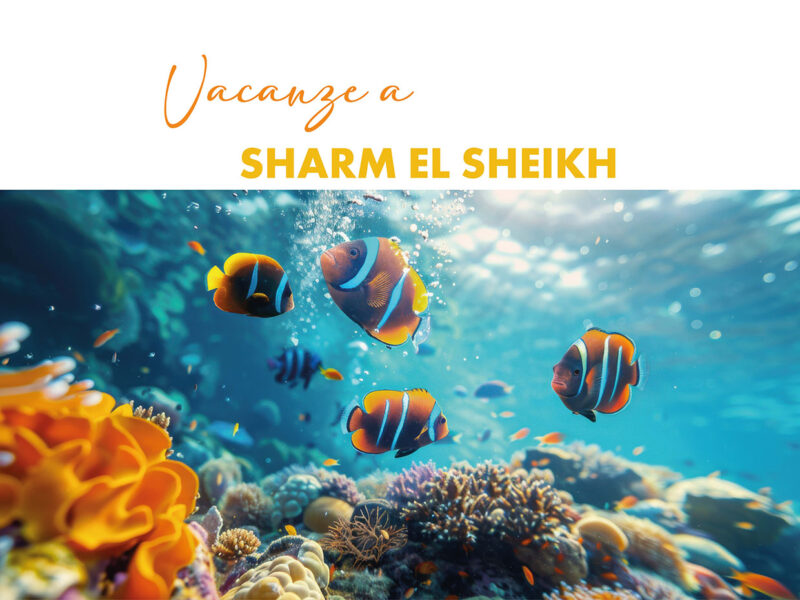 Go4sea - Vacanze a Sharm