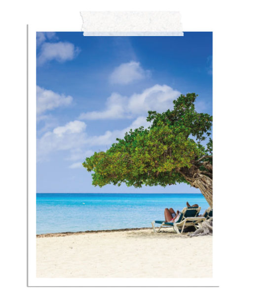 Go4sea - Aruba Isola felice dei Caraibi