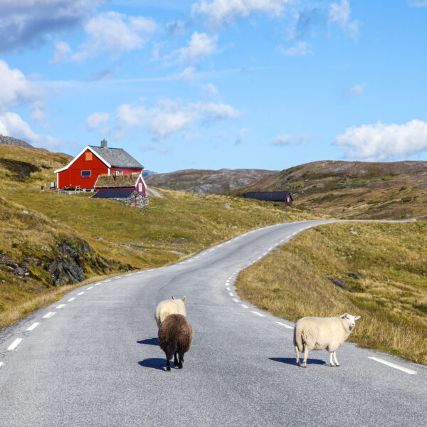 Esperienze da fare: Tour dell'Irlanda in auto Esperienze da fare: Tour dell'Irlanda in auto