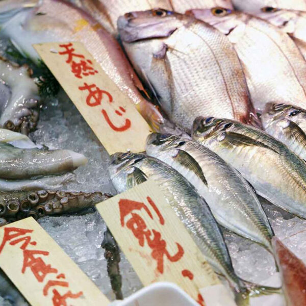 Sushi al Tsukij Fish Market, Tokyo Sushi al Tsukij Fish Market, Tokyo