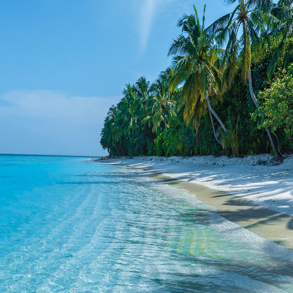 Go4sea Maldive cosa sapere Go4sea Maldive cosa sapere