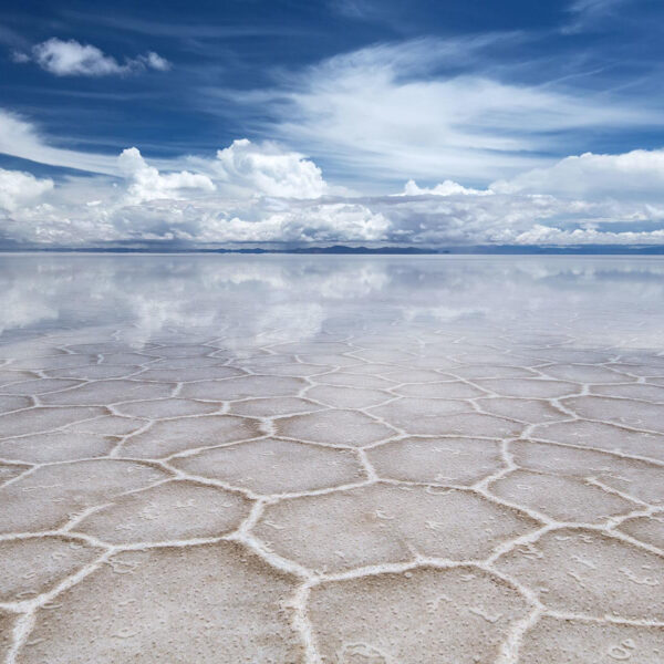 Salar De Yuyni, Bolivia Salar De Yuyni, Bolivia