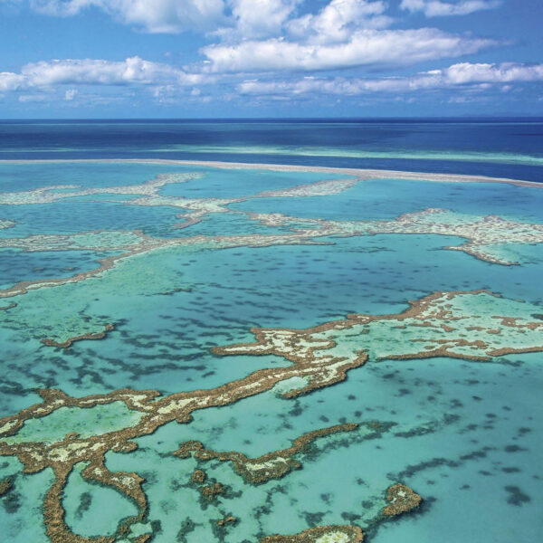 Reef, Australia Reef, Australia