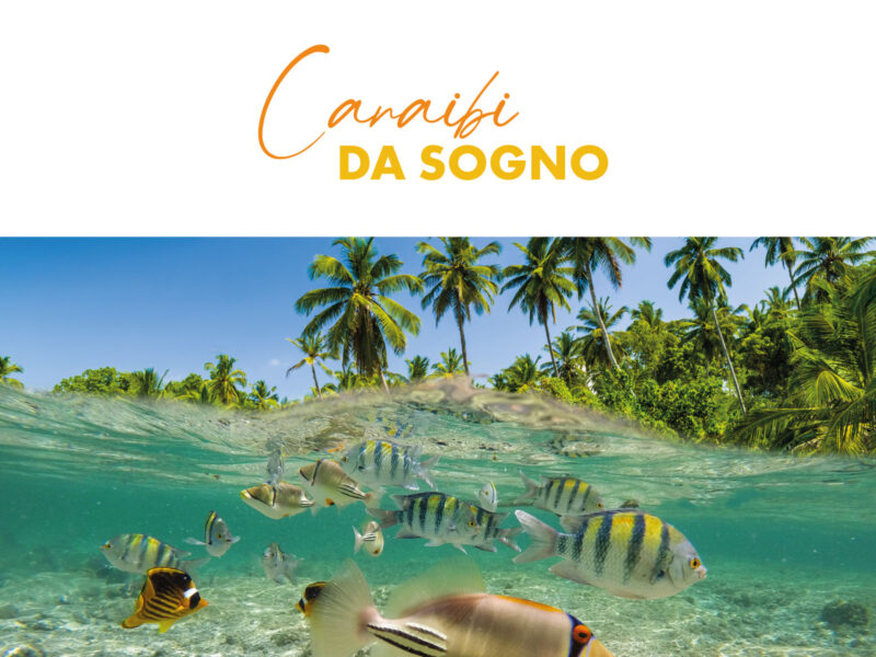 Go4sea - Vacanza alle isole dei Caraibi: quali isole vedere