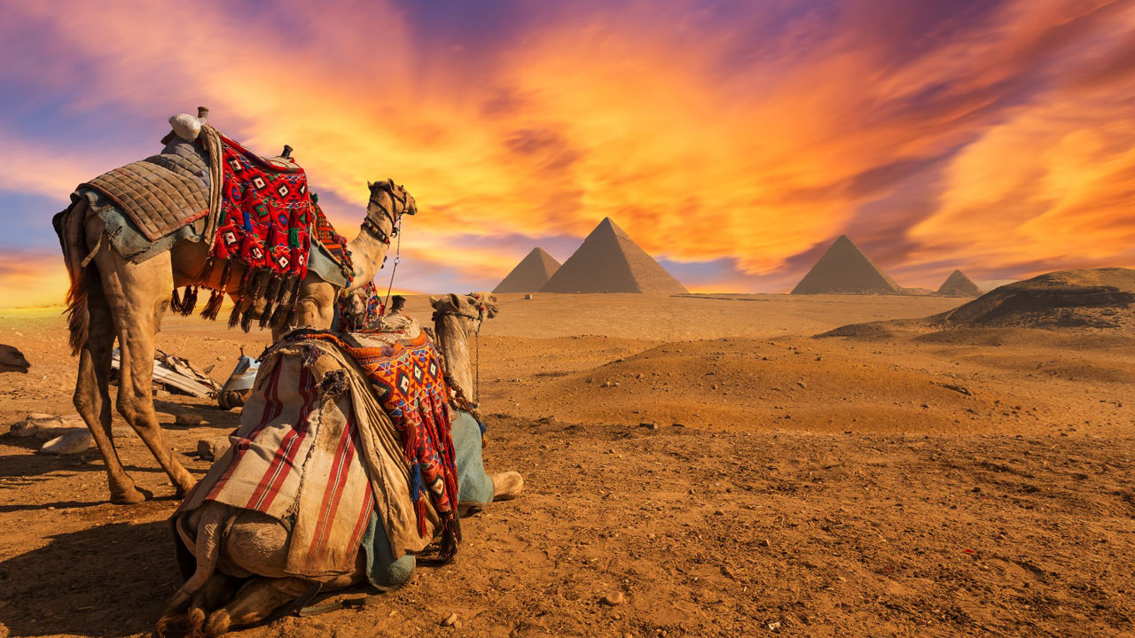 Crociera sul Nilo + Cairo