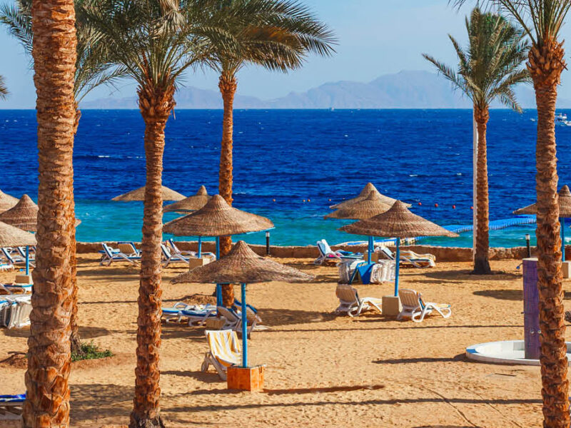 Go4sea - Viaggio a Sharm el-Sheikh