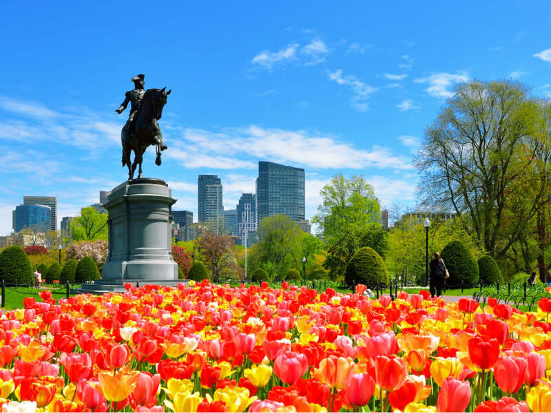 Viaggio a Boston | Stati Uniti d'America | Go4sea